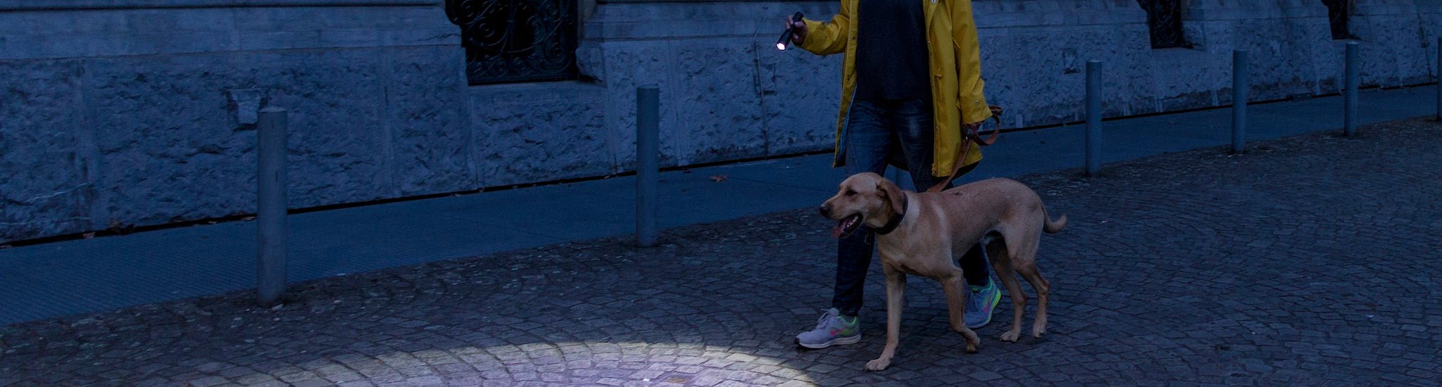 Dog Walking Lights - Ledlenser USA